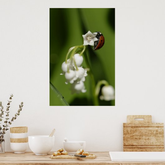 Poster Ladybug (Cuisine)