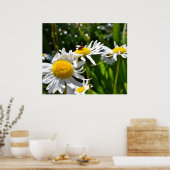 Poster Ladybug et Daisies (Cuisine)