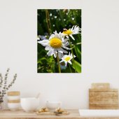 Poster Ladybug et Daisies (Cuisine)