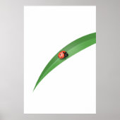 Poster Ladybug Leaf (Devant)