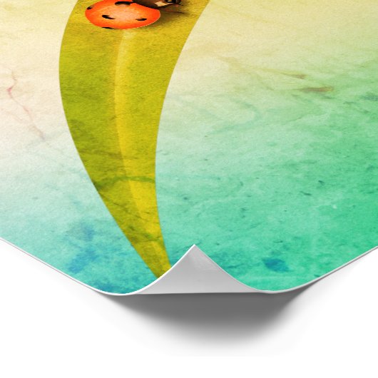 Poster Ladybug Leaf (Coin)