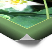 Poster Ladybug Love (Coin)