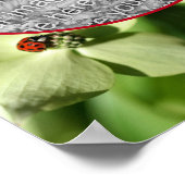 Poster Ladybug On Dogwood Flower Frame Ajouter Votre Phot (Coin)
