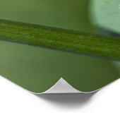 Poster Ladybug on Grass close (Coin)