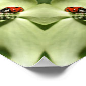 Poster Ladybug Sur Dogwood Abstrait Nature Mirror Art (Coin)