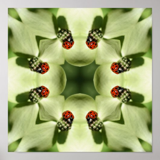 Poster Ladybug Sur Dogwood Abstrait Nature Mirror Art (Devant)
