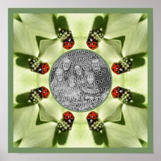 Poster Ladybug Sur Dogwood Nature Ajouter Votre Photo (Devant)