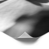 Poster Ladybug Sur Fleur De Dogwood Noir Et Blanc (Coin)