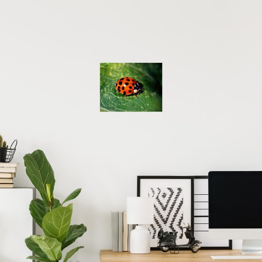Poster Ladybug sur la feuille gros (Bureau à domicile)
