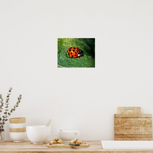 Poster Ladybug sur la feuille gros (Cuisine)