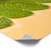 Poster Ladybug sur la feuille verte (Coin)