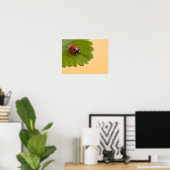 Poster Ladybug sur la feuille verte (Bureau à domicile)