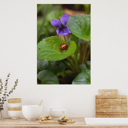 Poster Ladybug sur les fleurs de violet doux (Cuisine)