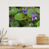 Poster Ladybug sur les fleurs de violet doux (Cuisine)