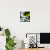 Poster Ladybug sur l'oubli-moi-non- (Bureau à domicile)