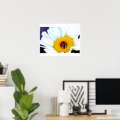 Poster Ladybug sur White Daisy (Bureau à domicile)