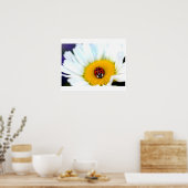 Poster Ladybug sur White Daisy (Cuisine)