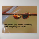 Poster Ladybugs Attitude Inspiration Confucius Citation (Devant)