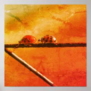 Poster Ladybugs Jouer Suivre Le Leader Abstrait Grunge