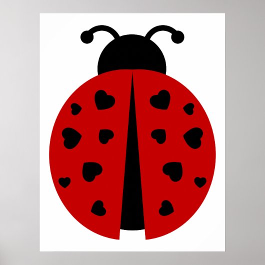 Poster ladybugz. (Devant)