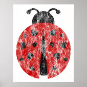 Poster ladybugz. (Devant)
