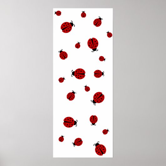 Poster ladybugz. (Devant)