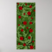 Poster ladybugz. (Devant)