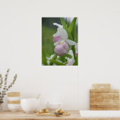 Poster Ladyslipper dans la pluie (Cuisine)