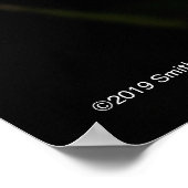 Poster Laelia Anceps (Coin)