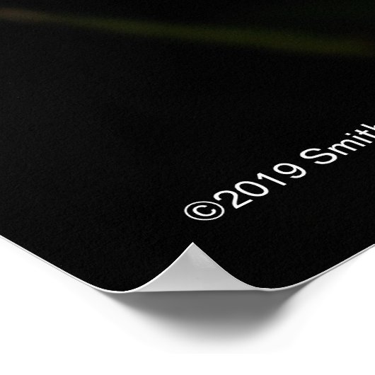 Poster Laelia Anceps (Coin)