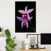 Poster Laelia Anceps (Bureau à domicile)