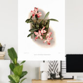 Poster Laelia autumnalis xanthotropis (Bureau à domicile)