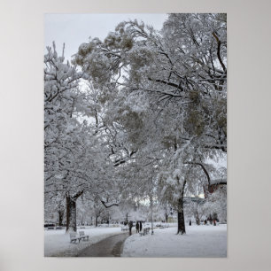 Poster Lafayette Carré, Washington, DC, sentier d'hiver
