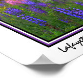 Poster Lafayette Lupine (Coin)