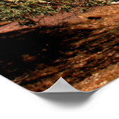 Poster L'affiche australienne (Coin)