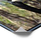 Poster L'affiche canadienne de l'oie (Coin)