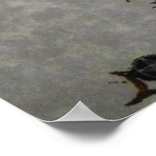 Poster L'affiche Chant aux sorcières (Coin)