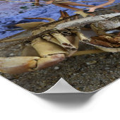 Poster L'affiche Chasse réussie (Coin)