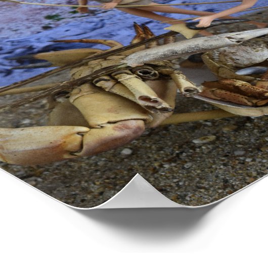 Poster L'affiche Chasse réussie (Coin)