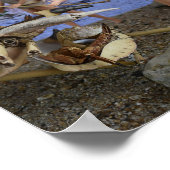 Poster L'affiche Chasse réussie (Coin)