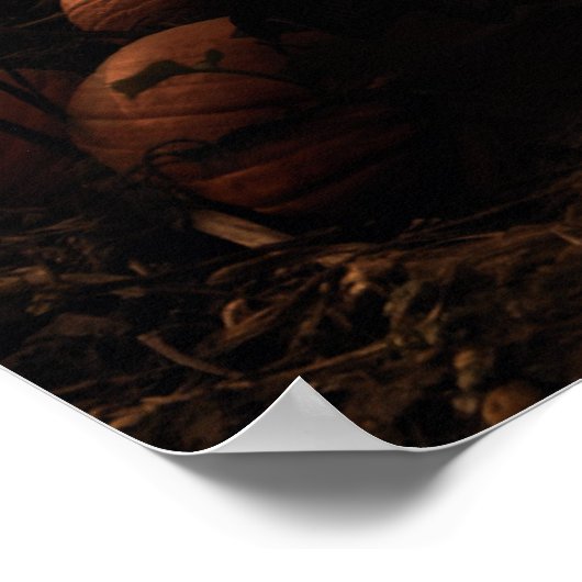 Poster L'affiche Citrouille Patch (Coin)