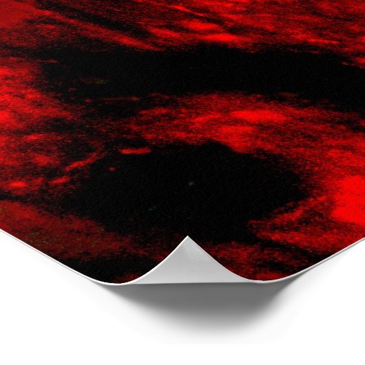 Poster L'affiche de Burning Man (Coin)