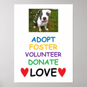 Poster L'affiche de chien de délivrance, adoptent l'amour