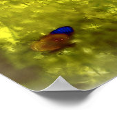 Poster L'affiche de la fée des papillons (Coin)