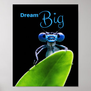 Poster L'affiche de la Motivational Matt Dream Big Dragon