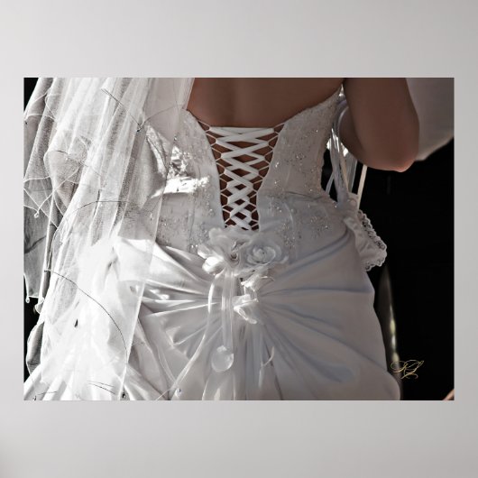 Poster L'affiche de la robe (Devant)