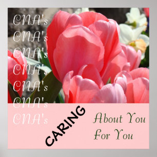 Poster L'affiche de l'infirmier auxiliaire de la CNA qui