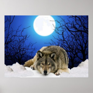 Poster L'affiche de loup d'observateur