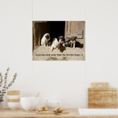 Poster L'affiche de Nowzad Puppies (Cuisine)