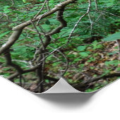 Poster L'affiche de Outhouse (Coin)